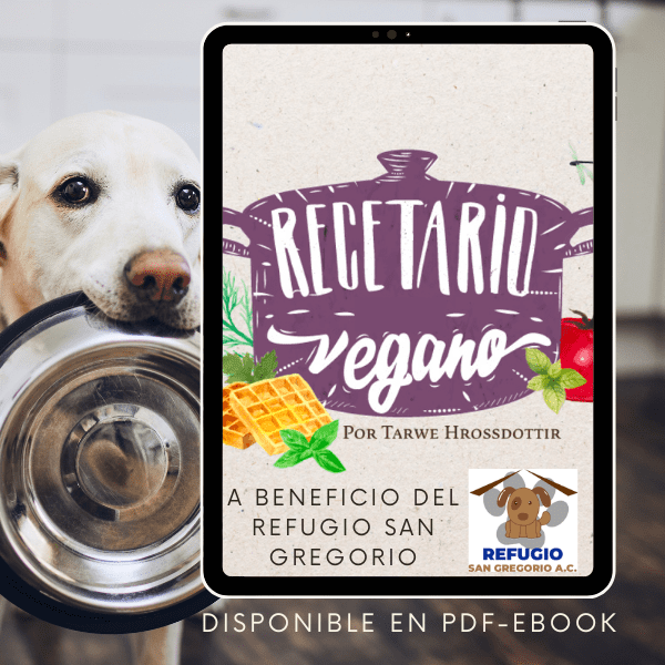 recetario vegano a beneficio del refugio san gregorio